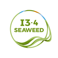 I3-4 Seaweed I3-4 Seaweed
